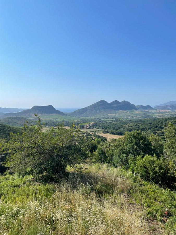 Casa Di Cajucan Poggio-d'Oletta Eksteriør billede