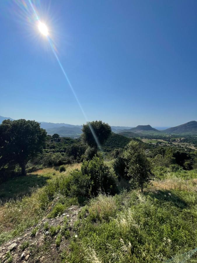 Casa Di Cajucan Poggio-d'Oletta Eksteriør billede