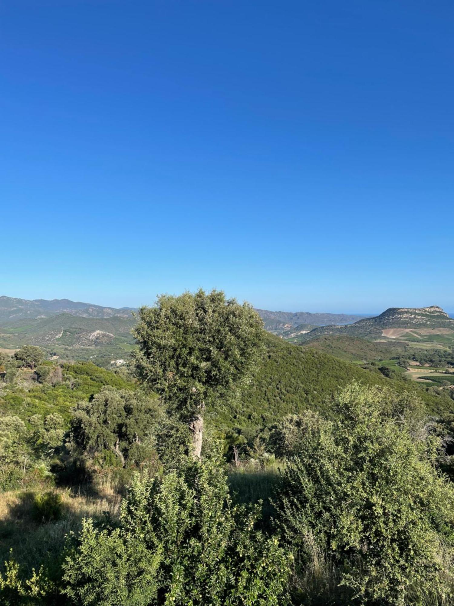 Casa Di Cajucan Poggio-d'Oletta Eksteriør billede