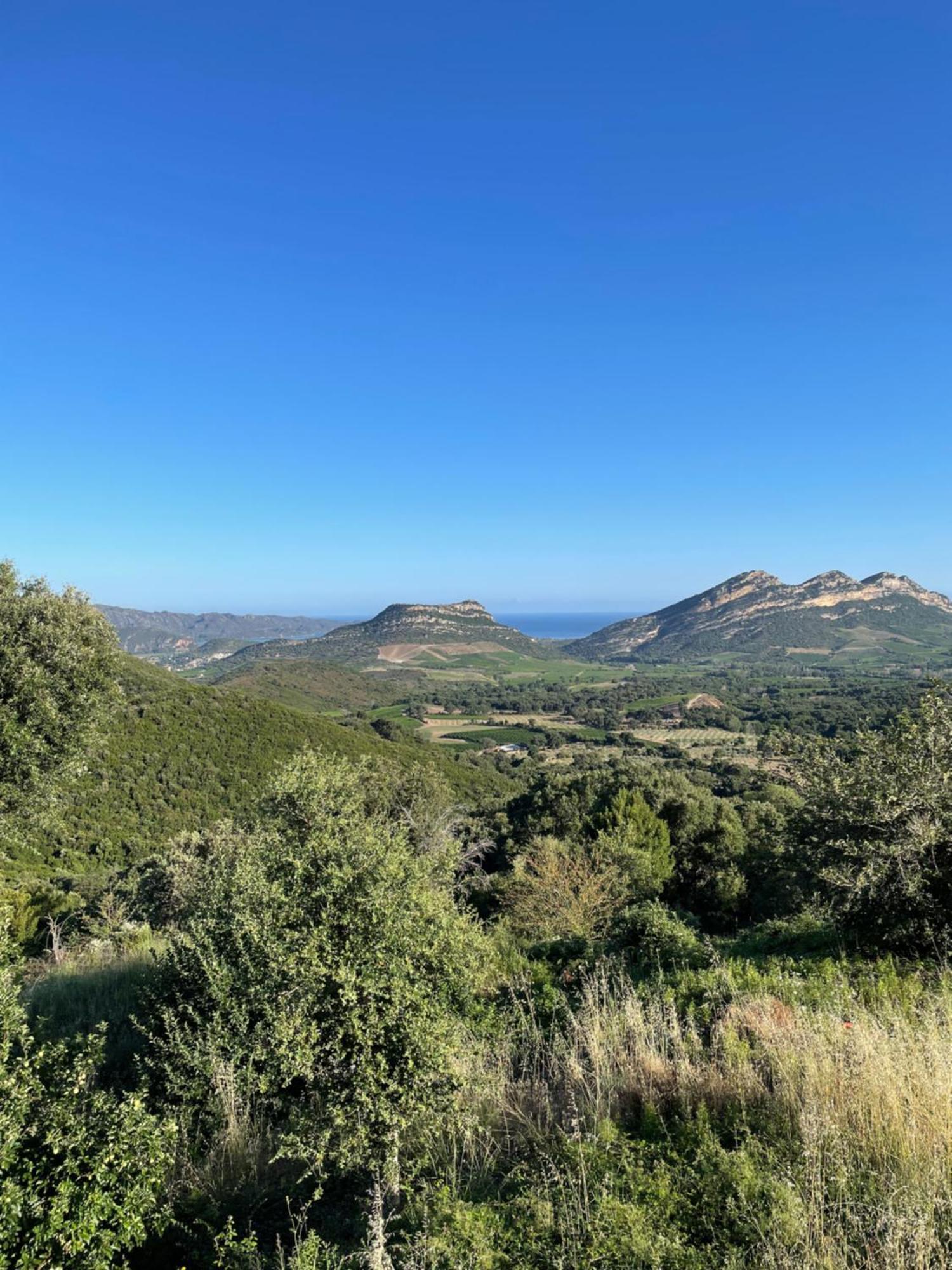 Casa Di Cajucan Poggio-d'Oletta Eksteriør billede