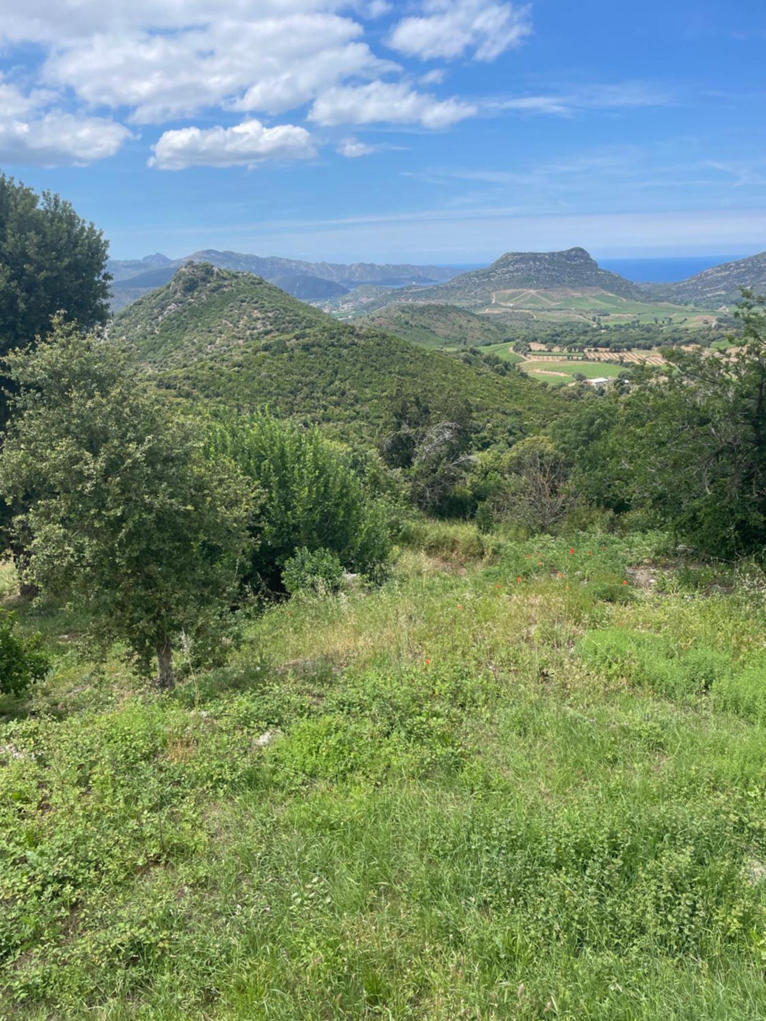 Casa Di Cajucan Poggio-d'Oletta Eksteriør billede