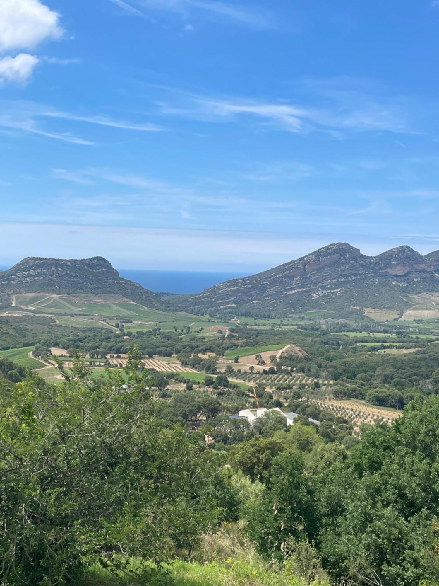 Casa Di Cajucan Poggio-d'Oletta Eksteriør billede