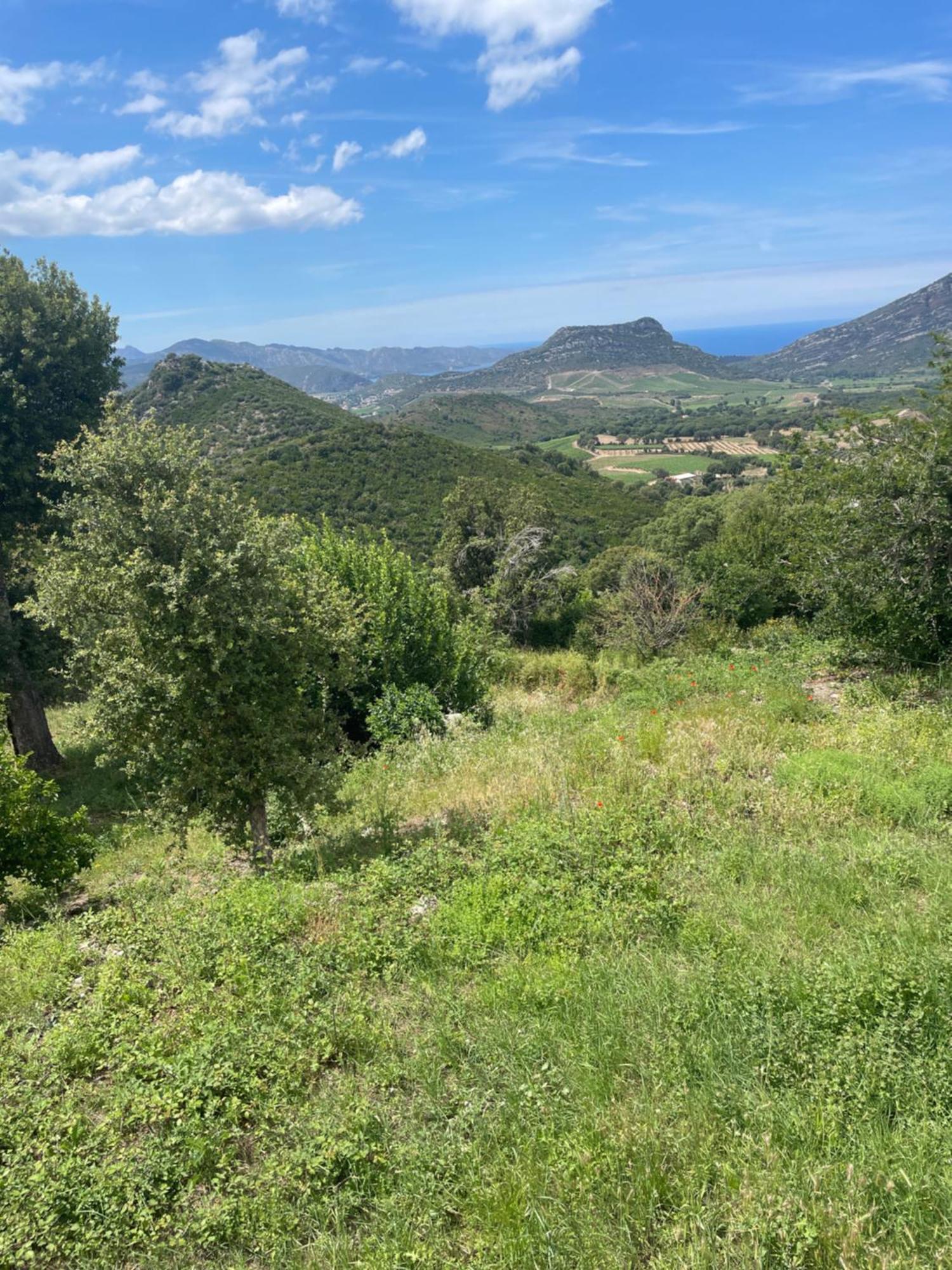 Casa Di Cajucan Poggio-d'Oletta Eksteriør billede